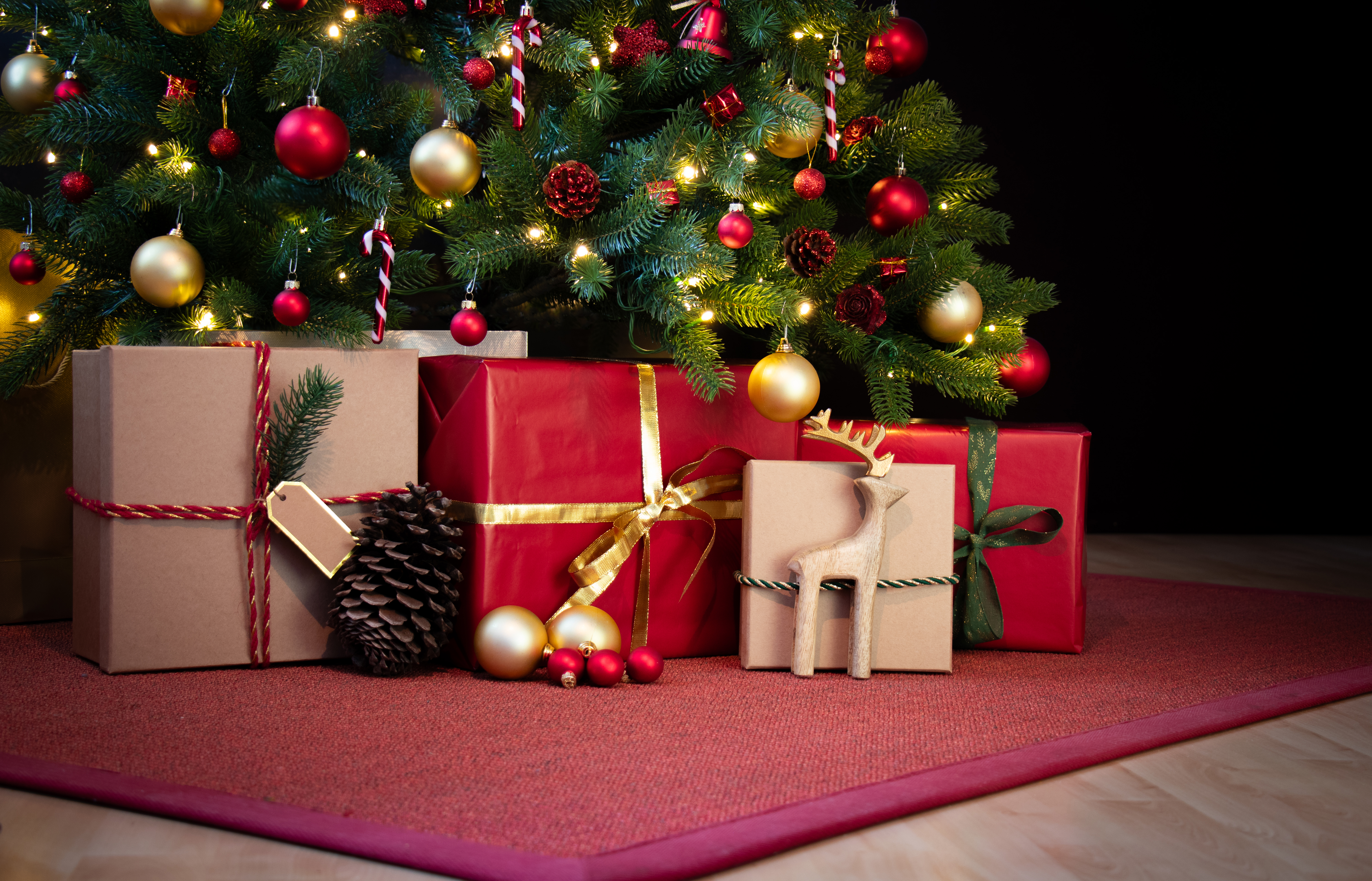 Christiane Lang Christiane Lang